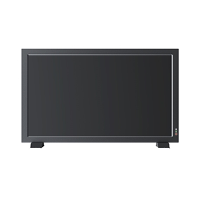 21.5 inch Professional Video Monitor